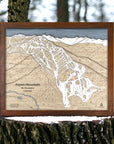 Aspen Mountain Ski Slopes Map, Skiing Wall Art, Framed Ski Map