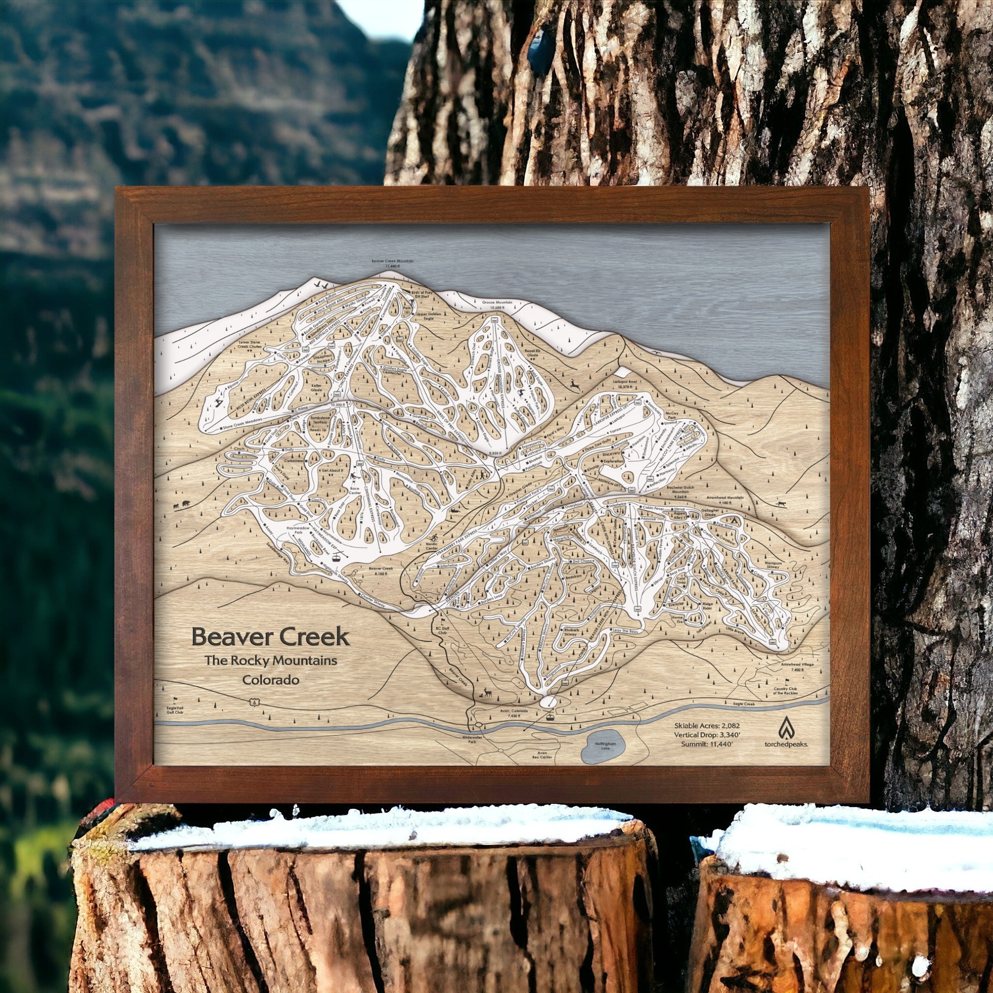 Unique Gift for Skiers 3D Wood Map Beaver Creek Wall Art