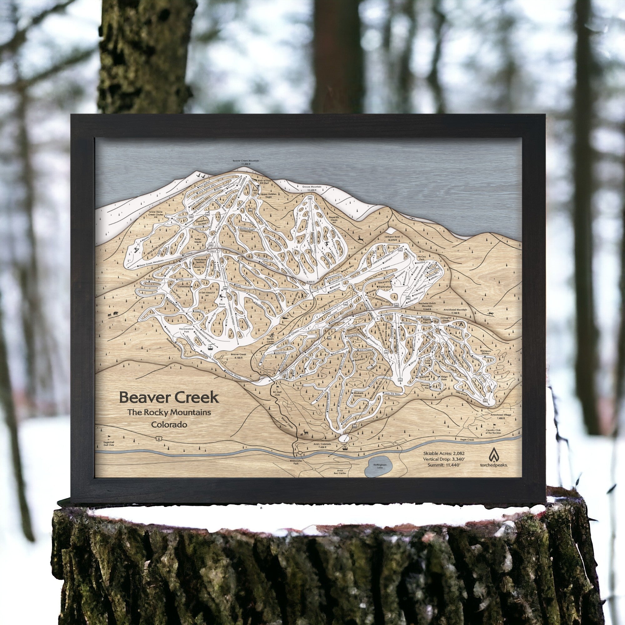 Beaver Creek CO Wood Ski Trail - Beaver Creek Colorado Ski Resort Map Art Onyx 