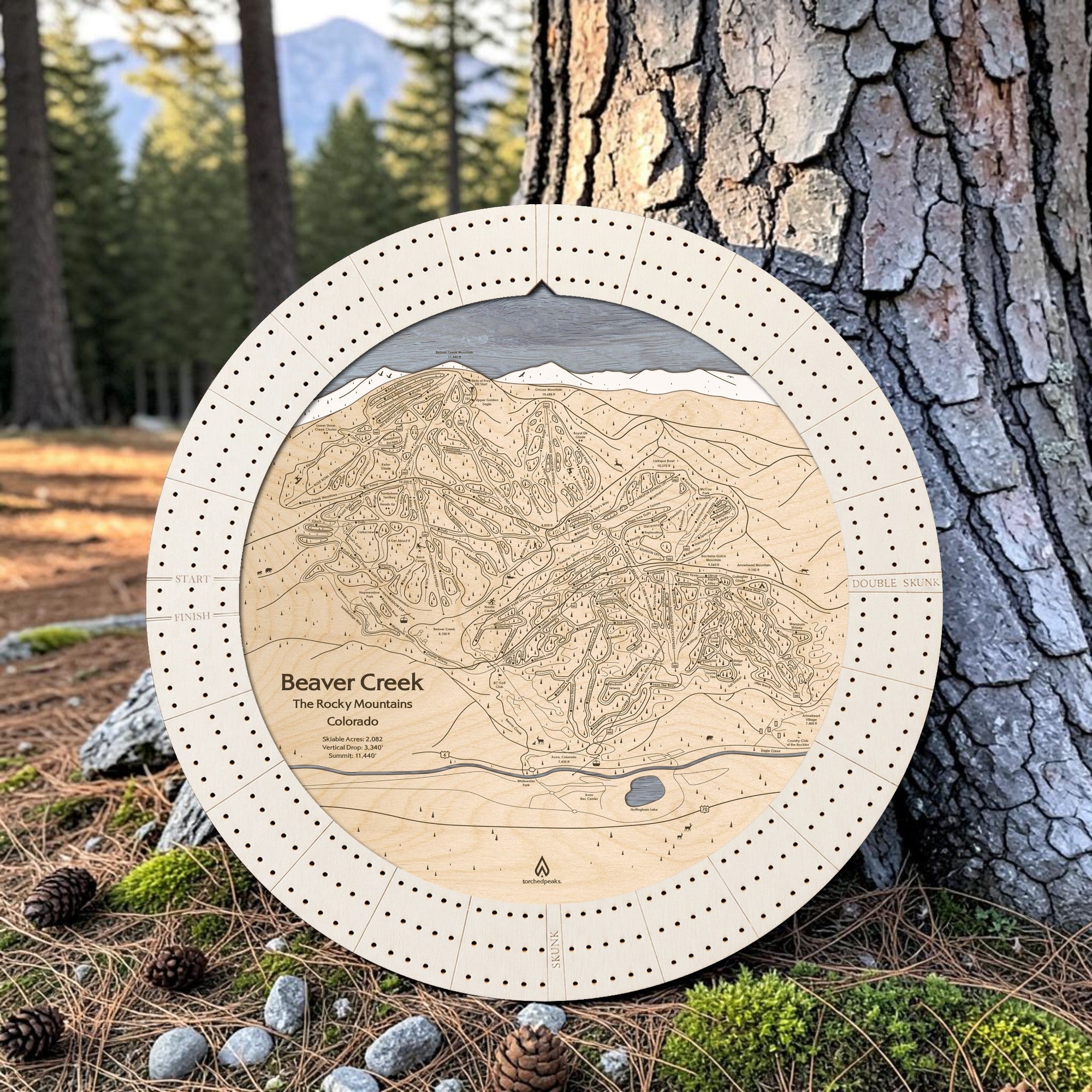 Arctic White Beaver Creek ski map cribbage board displayed outdoors against a pine tree in a mountain setting.