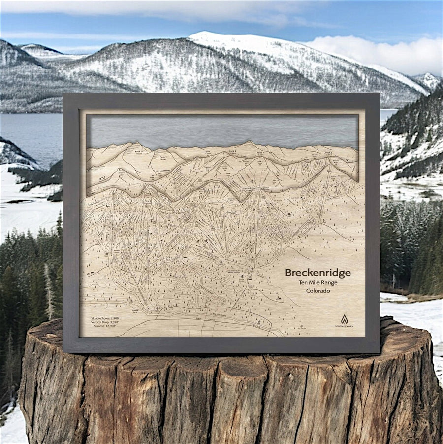 Unique Gifts or Skiers: Breckenridge 3D Layered Wall Map