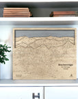 Office Decor For Skiers: Bookshelf wood map of Breckenridge Ski Resort