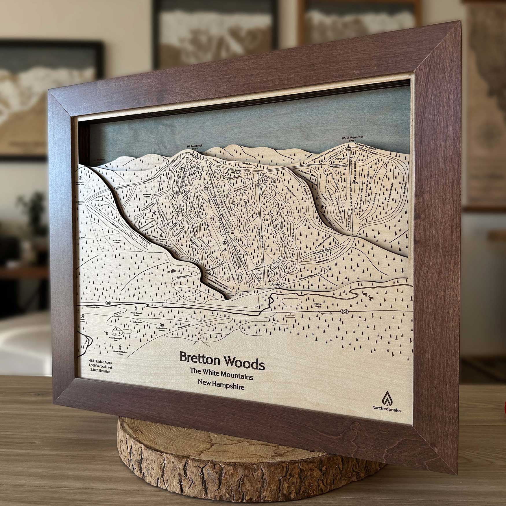 Bretton Woods, NH Ski Trail Map Art 3D Wood Mountain Art