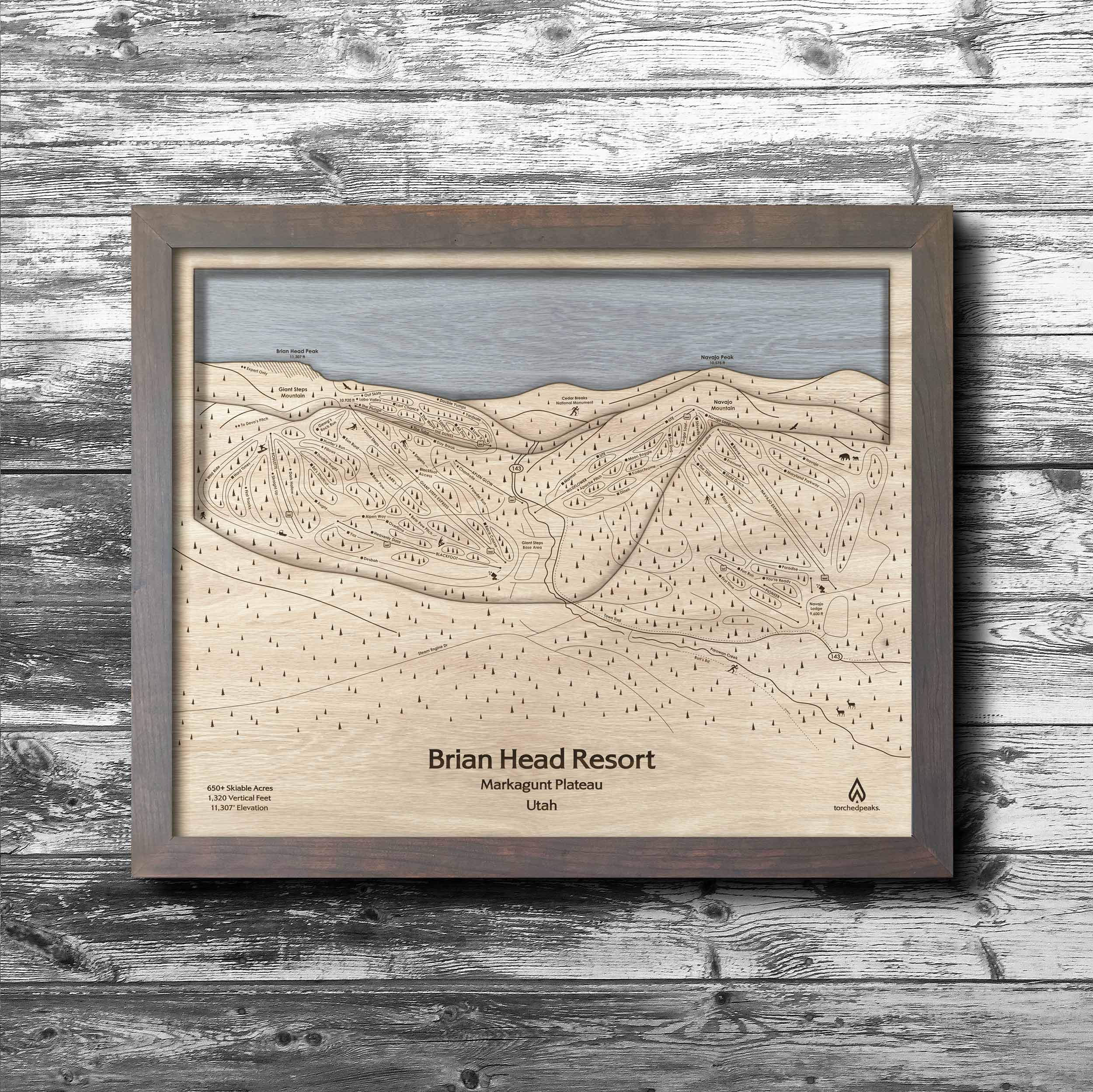 Brian Head UT Ski Trail Map | 3D Wood Mountain Map