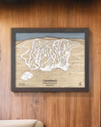 Camelback Pennsylvania Ski Resort Map, Ski Trail Map Art, 3D Mountain Art