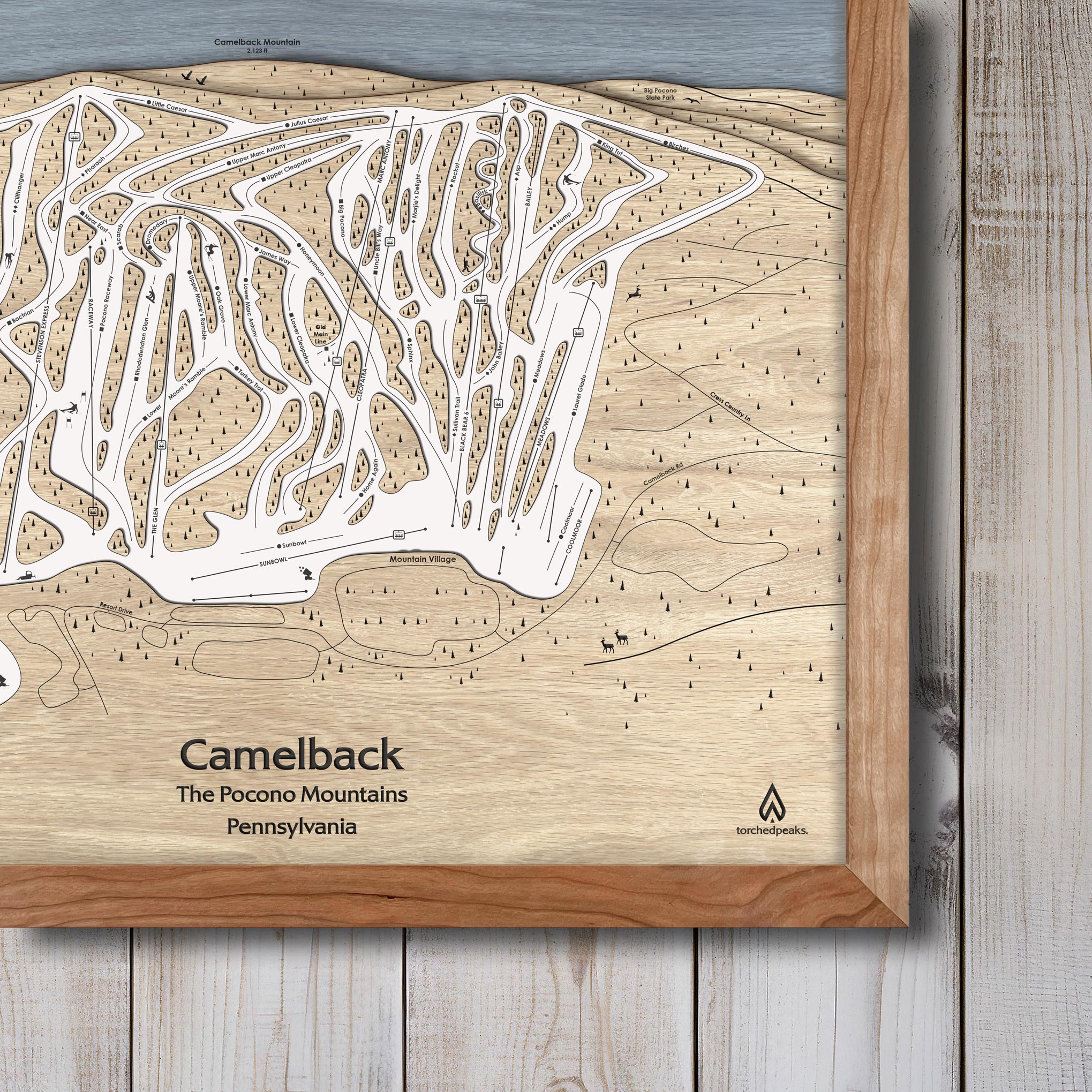 Camelback PA Ski Map Art Poster 