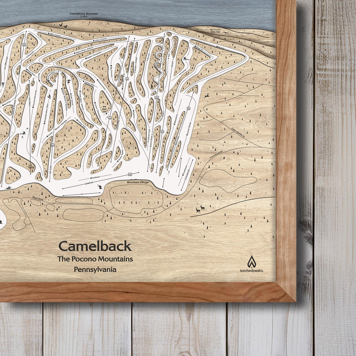 Camelback Resort, PA Ski Trail Map | 3D Wood Ski Resort Wall Art