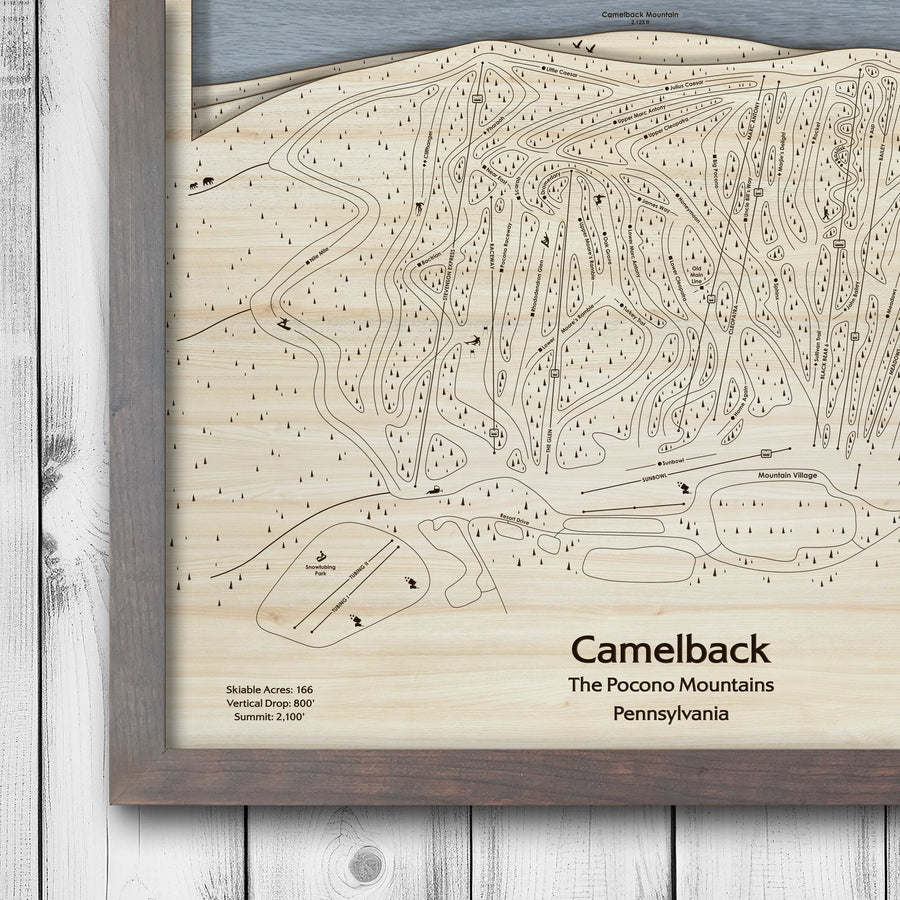Camelback Resort Ski Map