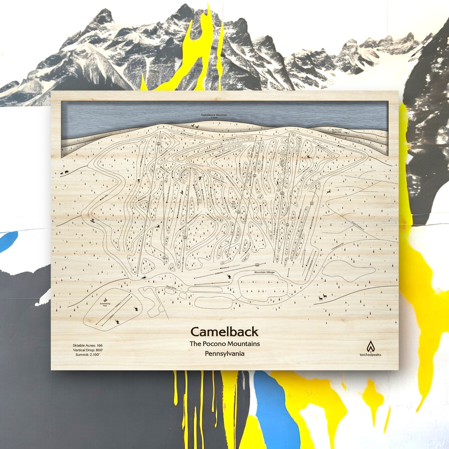 Camelback Ski Resort Art, Laser-engraved wall map