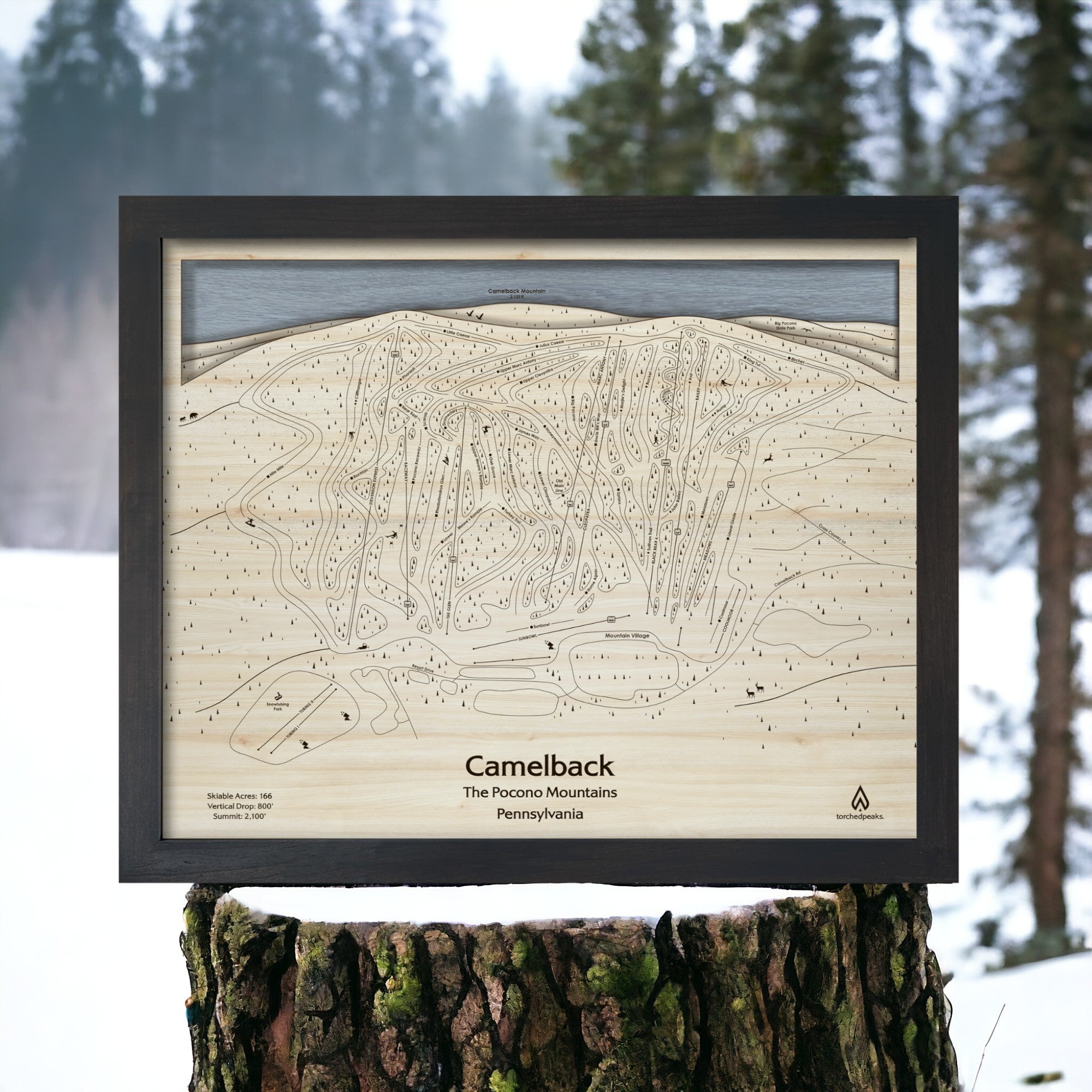 Camelback Ski Trail Map by Torched Peaks, 3D Wooden Ski Maps