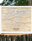 Wooden map of Deer Valley Ski Resort Utah staged on a wood stump with a forest background