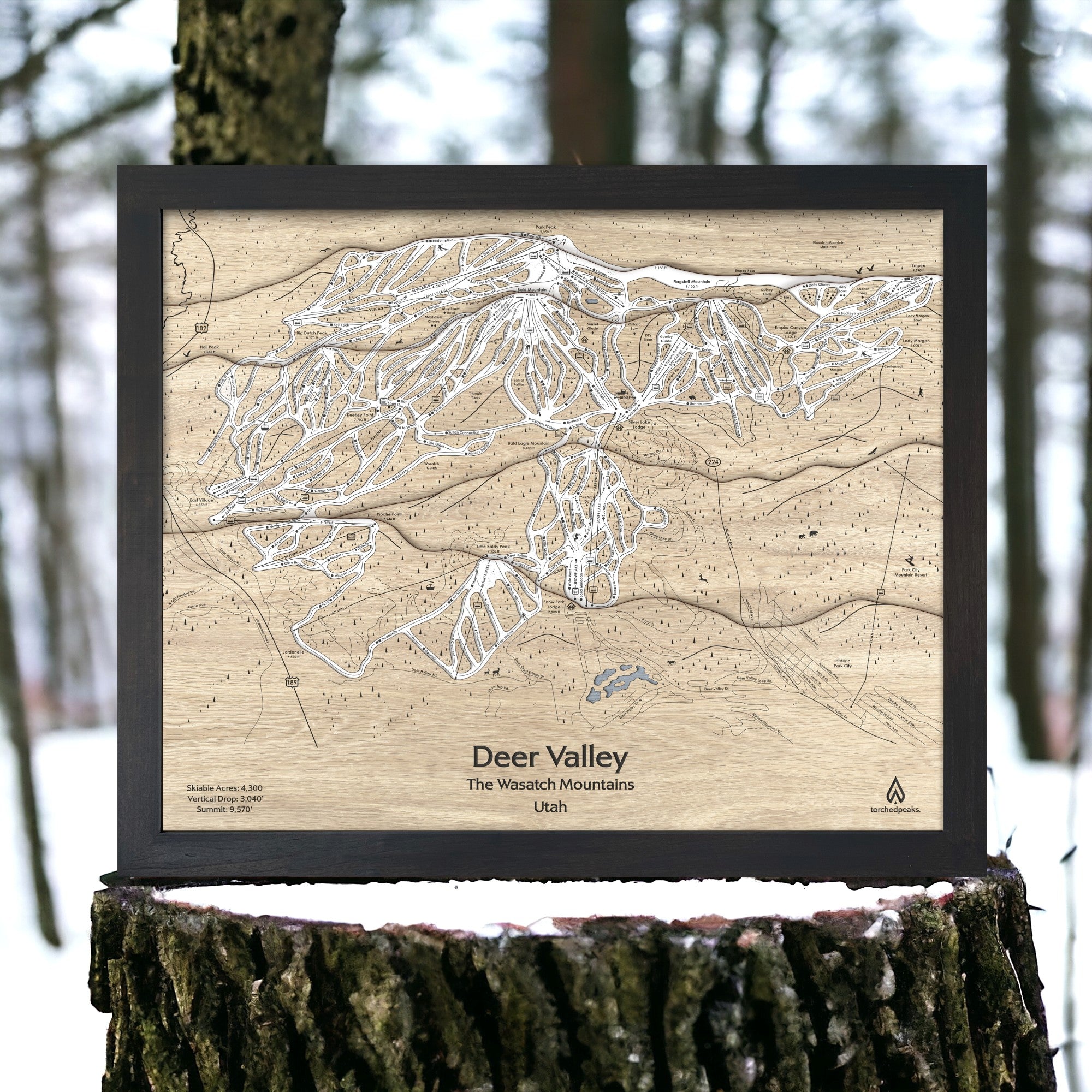 Framed wooden map of Deer Valley Ski Resort in Utah staged on a tree stump with a forest background