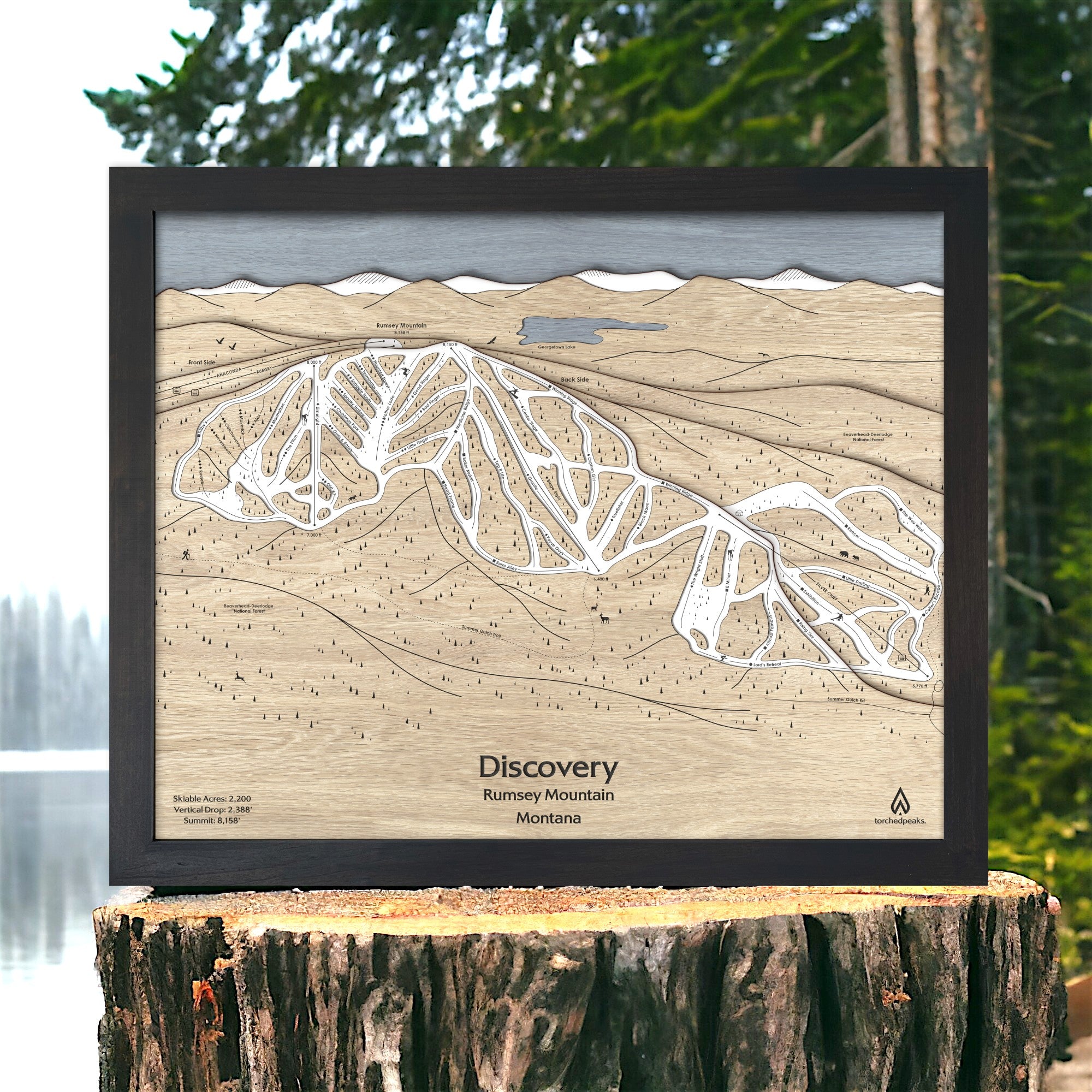 3D wooden ski resort map of Discovery Ski Area  on a wooden stump.