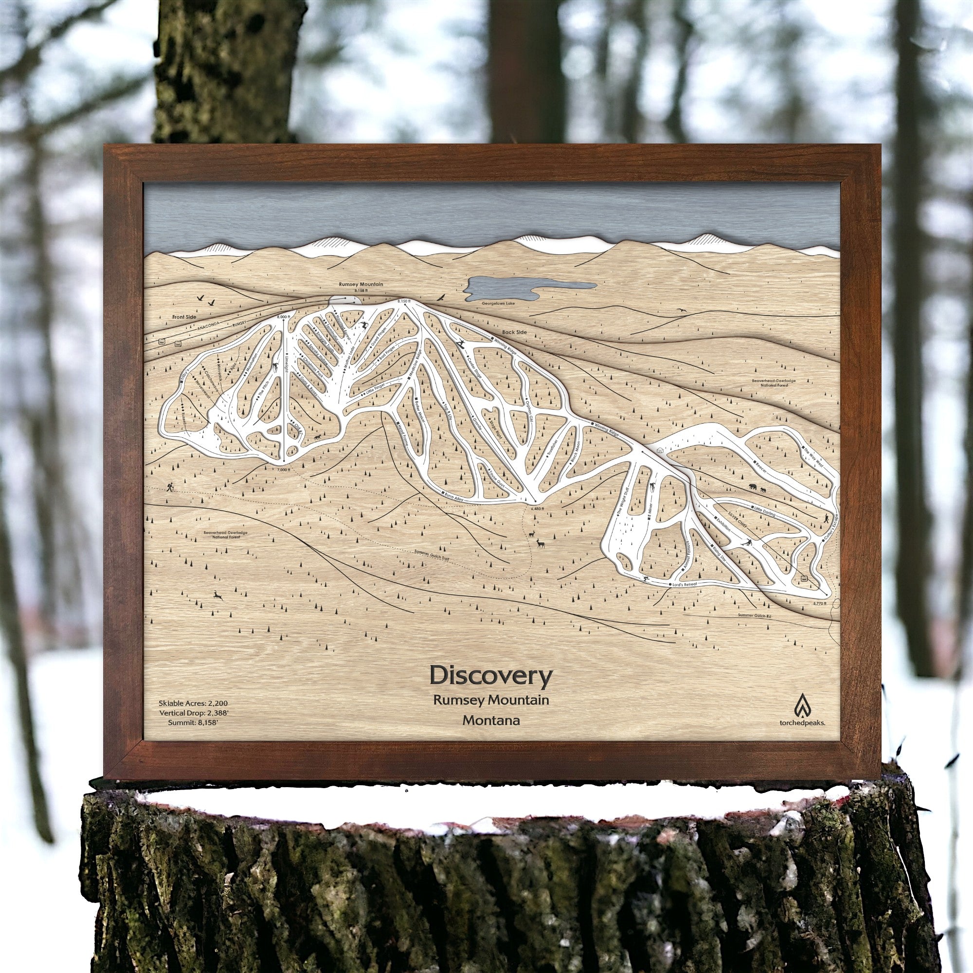 Wooden layered ski trail map of a Discovery Ski Resort in Montana on a tree stump with a forest background.