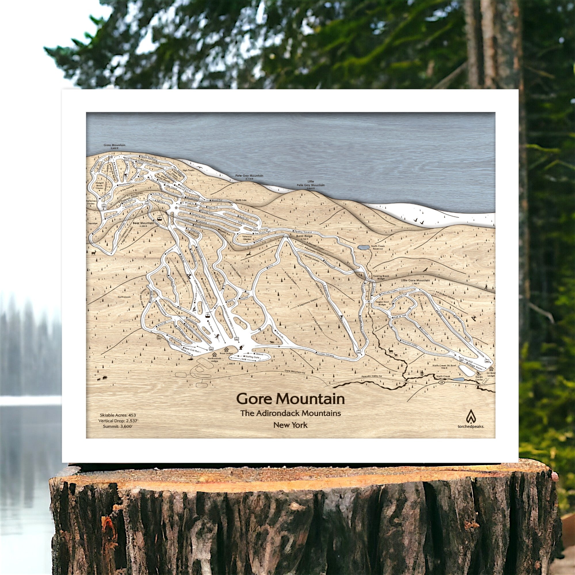 Wooden map of Gore Mountain ski resort on a tree stump with a lake and trees in the background