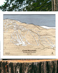 Wooden map of Gore Mountain ski resort on a tree stump with a lake and trees in the background