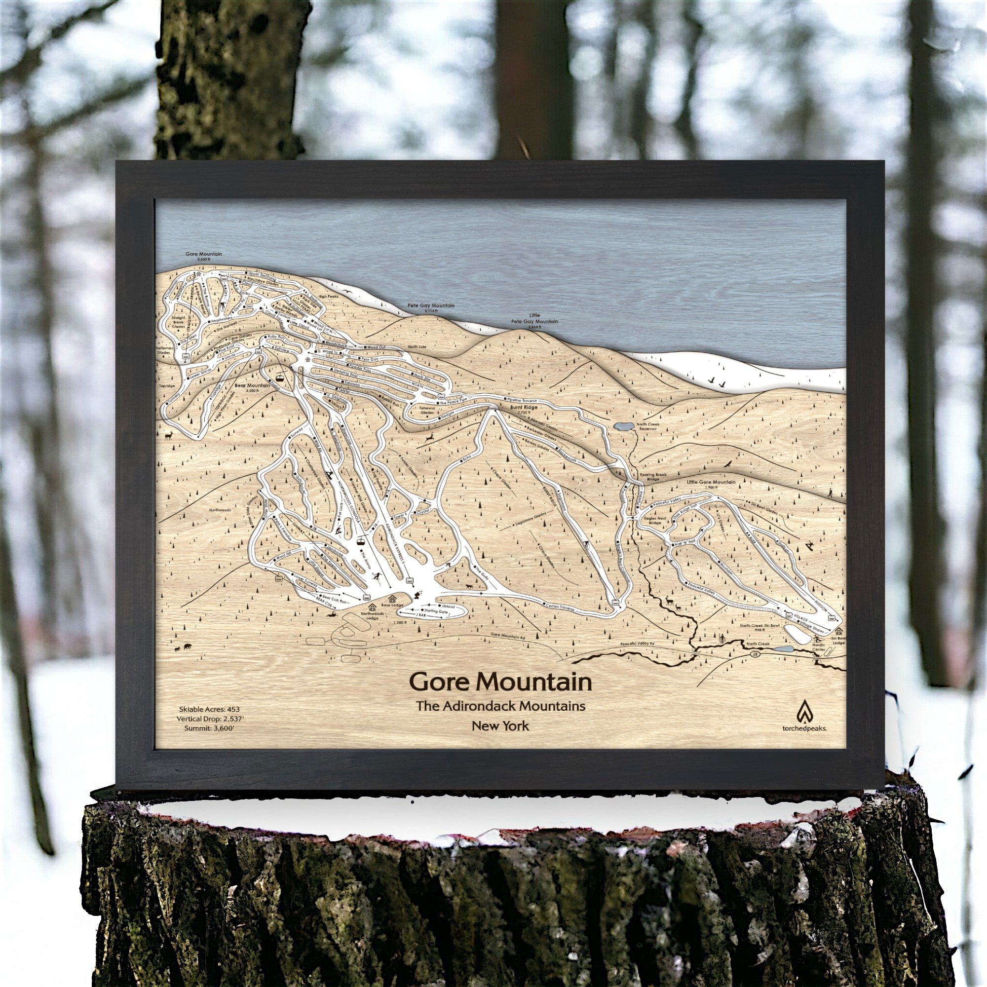 Wooden map of Gore Mountain in the Adirondack Mountains, New York, framed and leaning against a tree stump with a forest background.