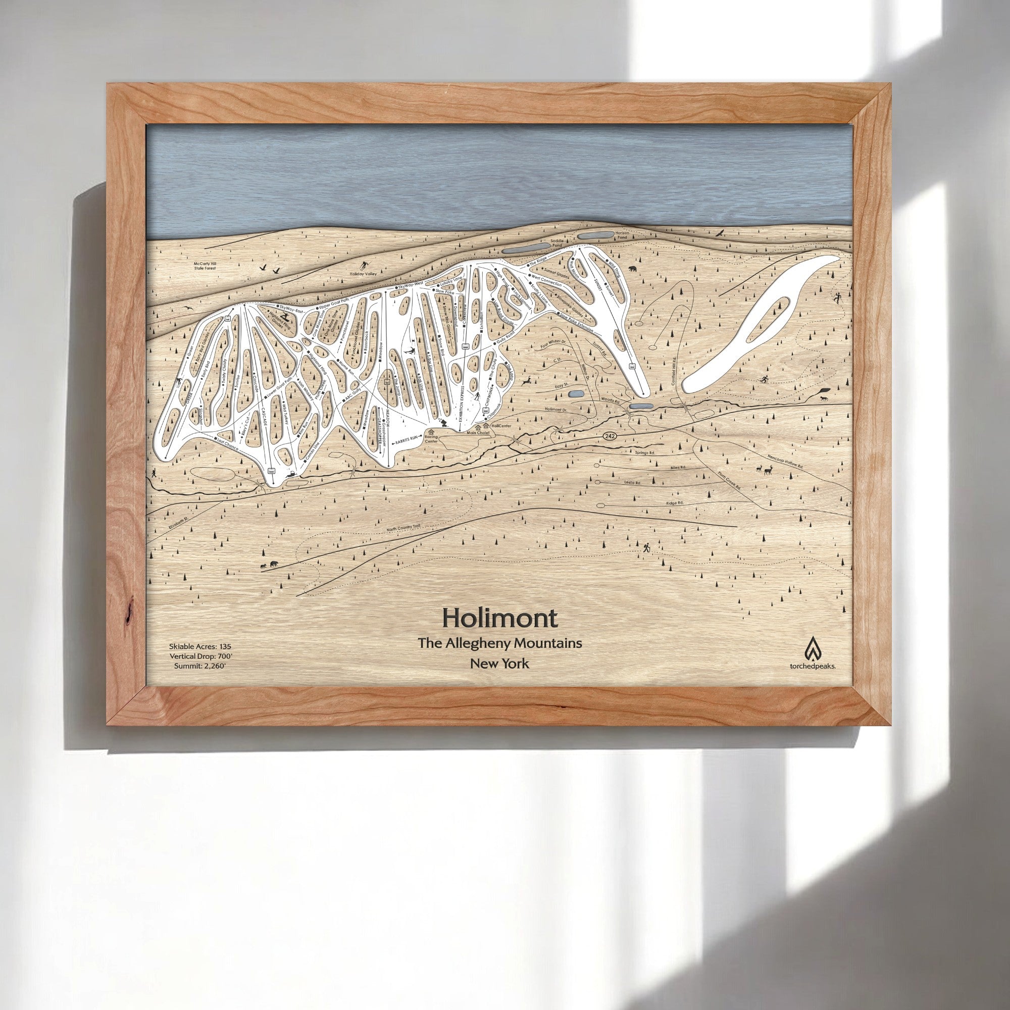 3D Wooden framed trail map of Holimont Ski Area, The Allegheny Mountains, New York on a white wall in a modern ski house. 