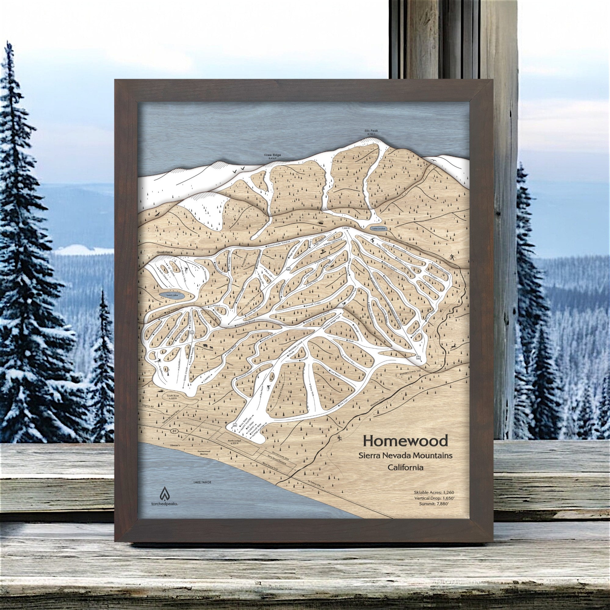 Homewood Ski Resort Map, Skiing Decor, Ski Wall Art