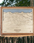 Jackson Hole Art, Jackson Hole Ski Trail Map, Framed Wall Map