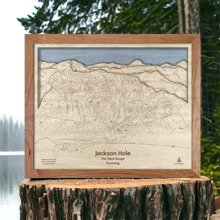 Jackson Hole Art, Jackson Hole Ski Trail Map, Framed Wall Map