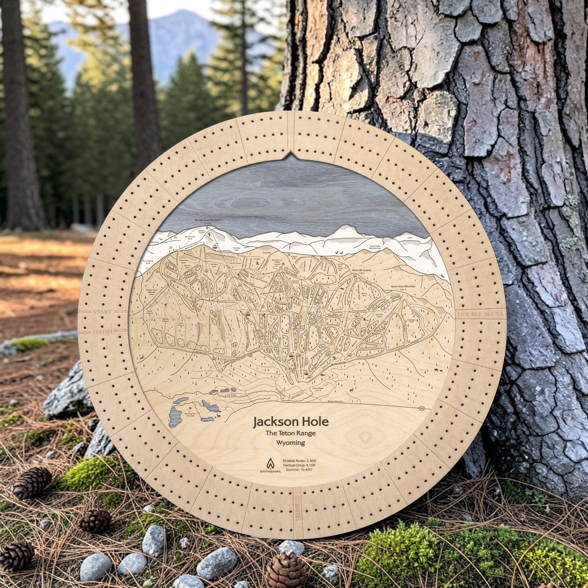 Birch Jackson Hole wooden ski map cribbage board displayed beside a pine tree as a unique gift for skiers.