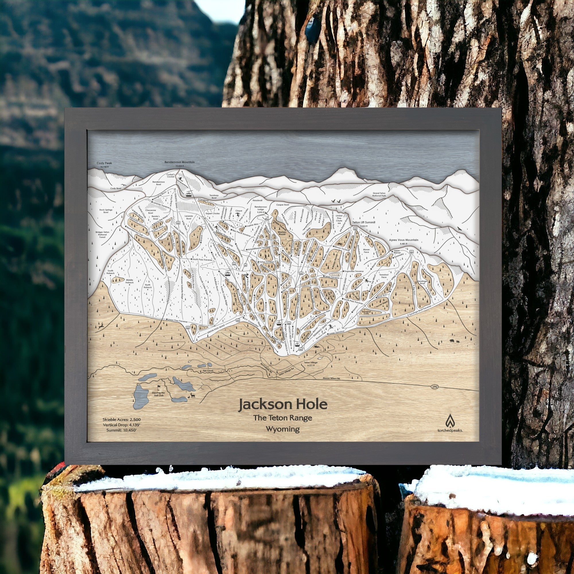 Premium mountain art of Jackson Hole Ski Trails
