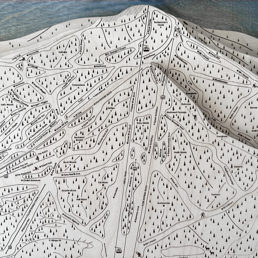 Jay Peak VT Ski Trail Map | 3D Wooden Layered Map, Laser-engraved