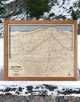 3D Layered Jay Peak Mountain Map made out of wood