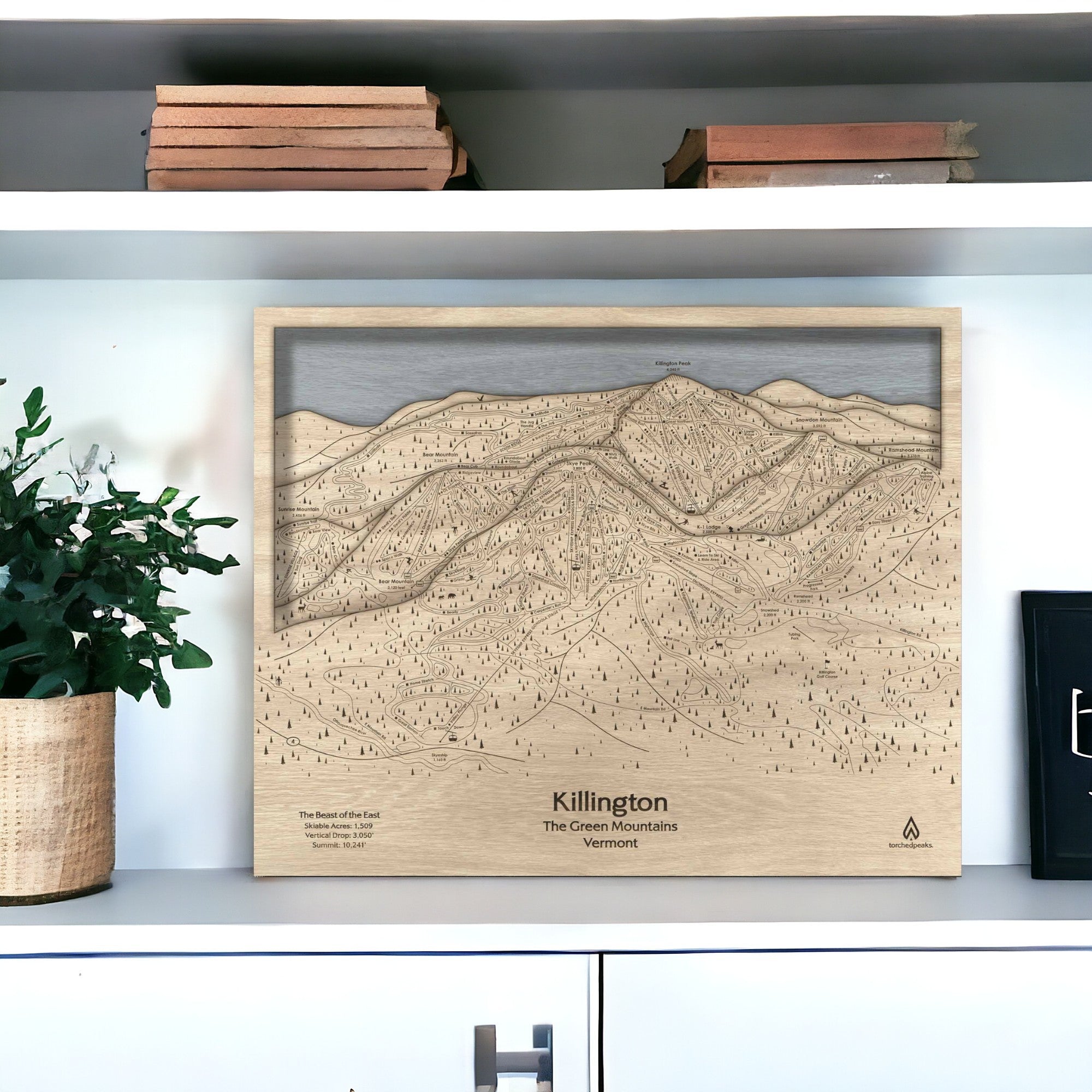 Ski Trail Map Gift Card | The Perfect Gift for Skiers and Snowboarders