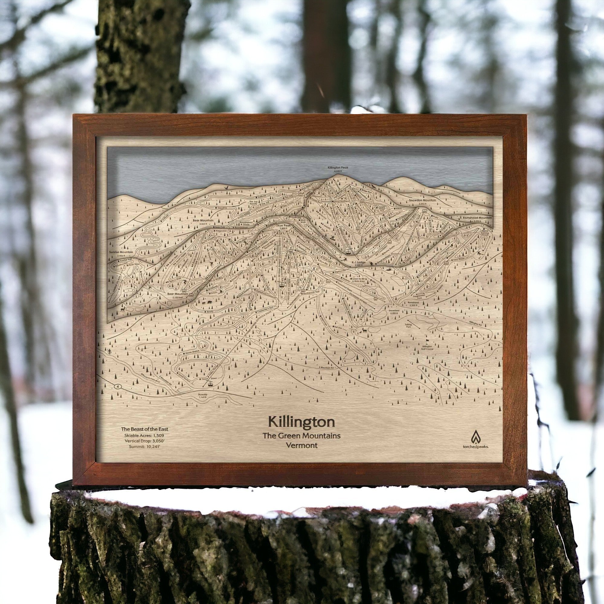 3D Wood Killington VT Ski Trail Map | Ski House Decor