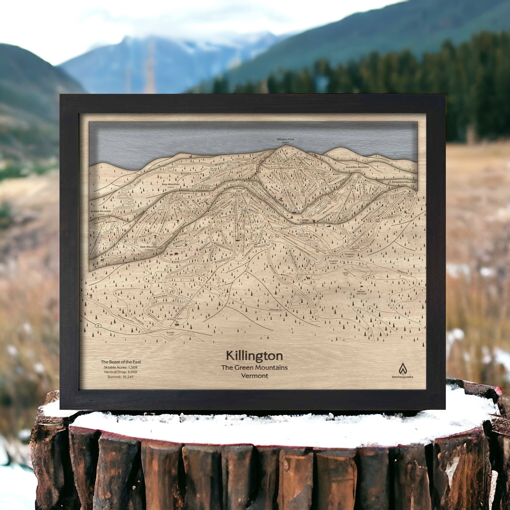 Gifts for Skier Wedding - Killington VT Ski Trail Map | 3D Wood Ski Slope Art