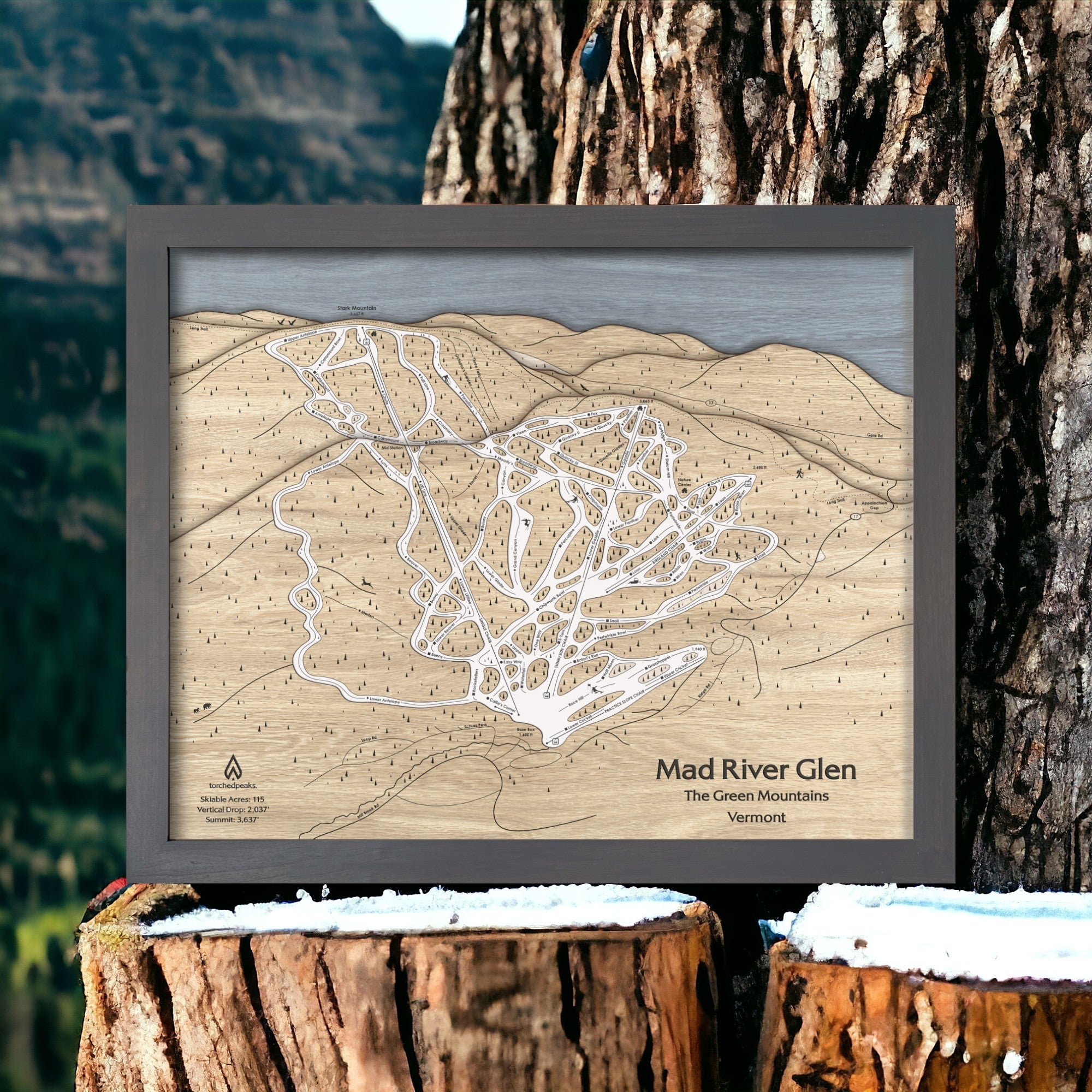 Best gifts for skiers: Large Mad River Glen VT Wooden Ski resort map