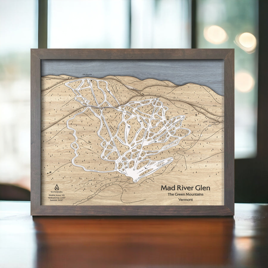MRG, Ski it if you can! Mad River Glen Wall Art