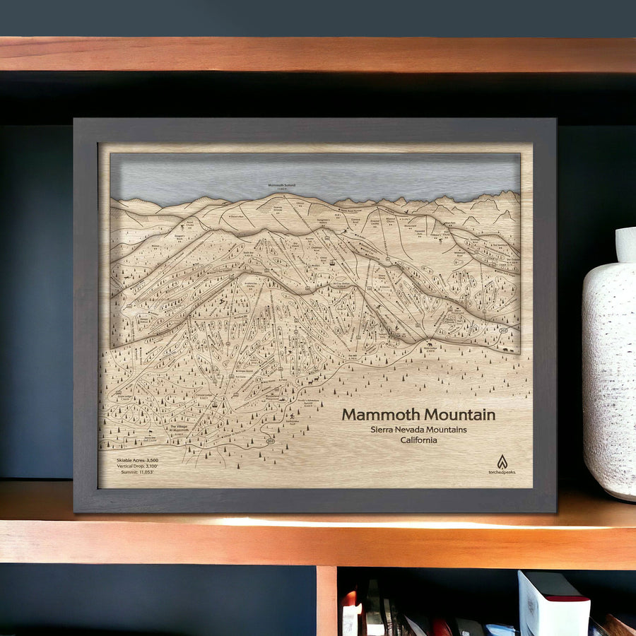 Home Decor for Skiers: 3D Wood Mammoth Ski Resort Map 