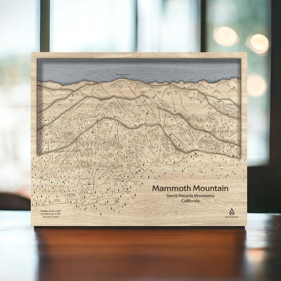 Unique gifts for skiers: Wooden Mammoth Mountain wall map for home or office