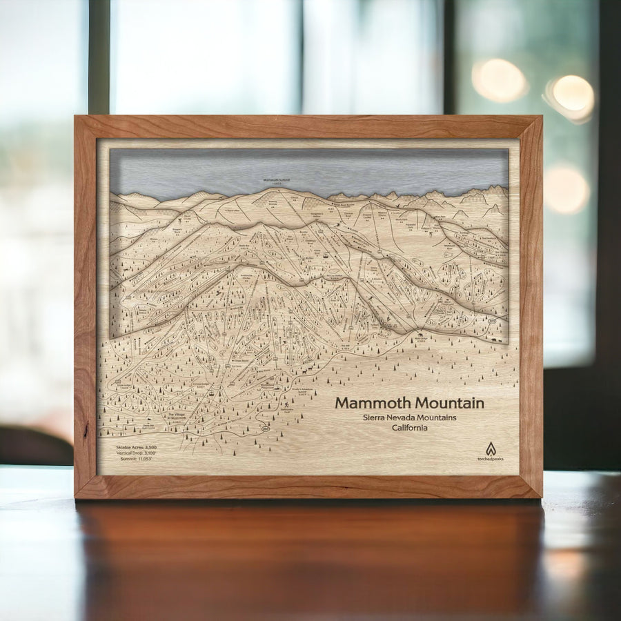 Mammoth Mountain Decor for Skiers and Snowboarders