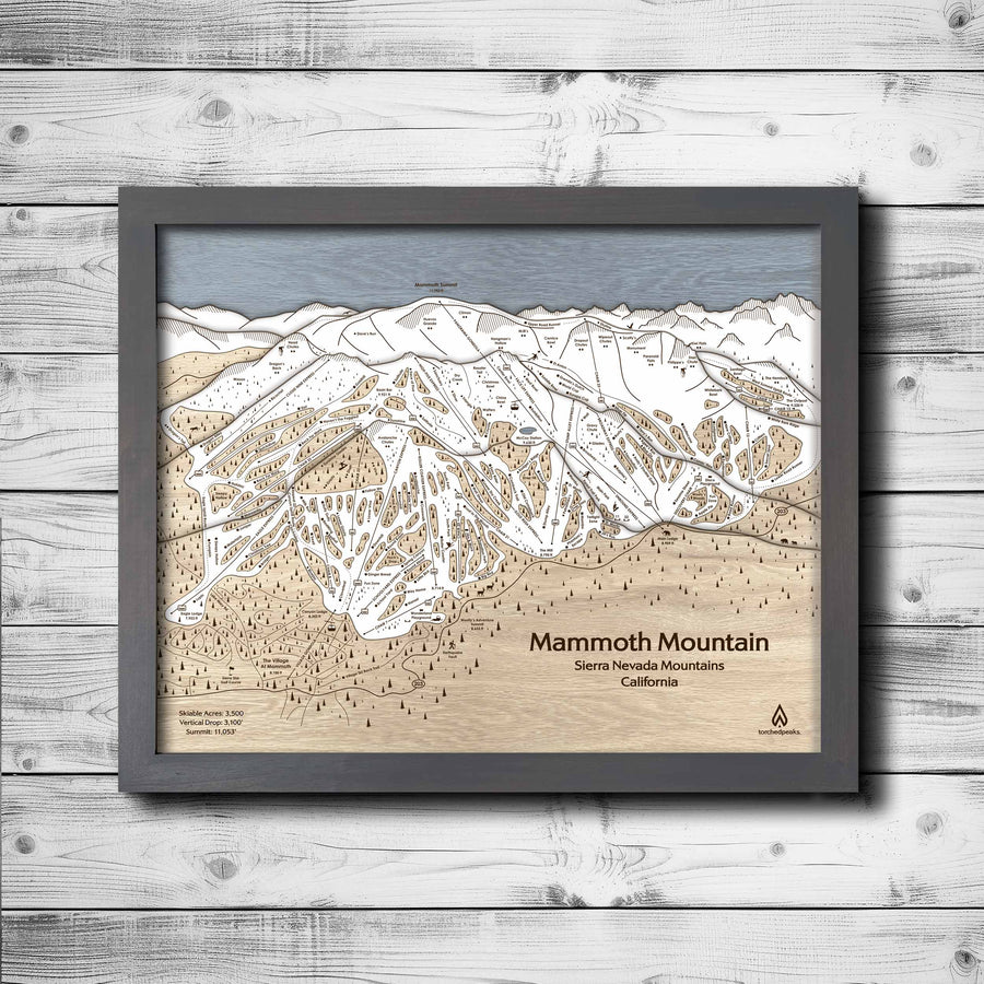 Mammoth Mountain Ski Resort Map,  Framed Wall Art