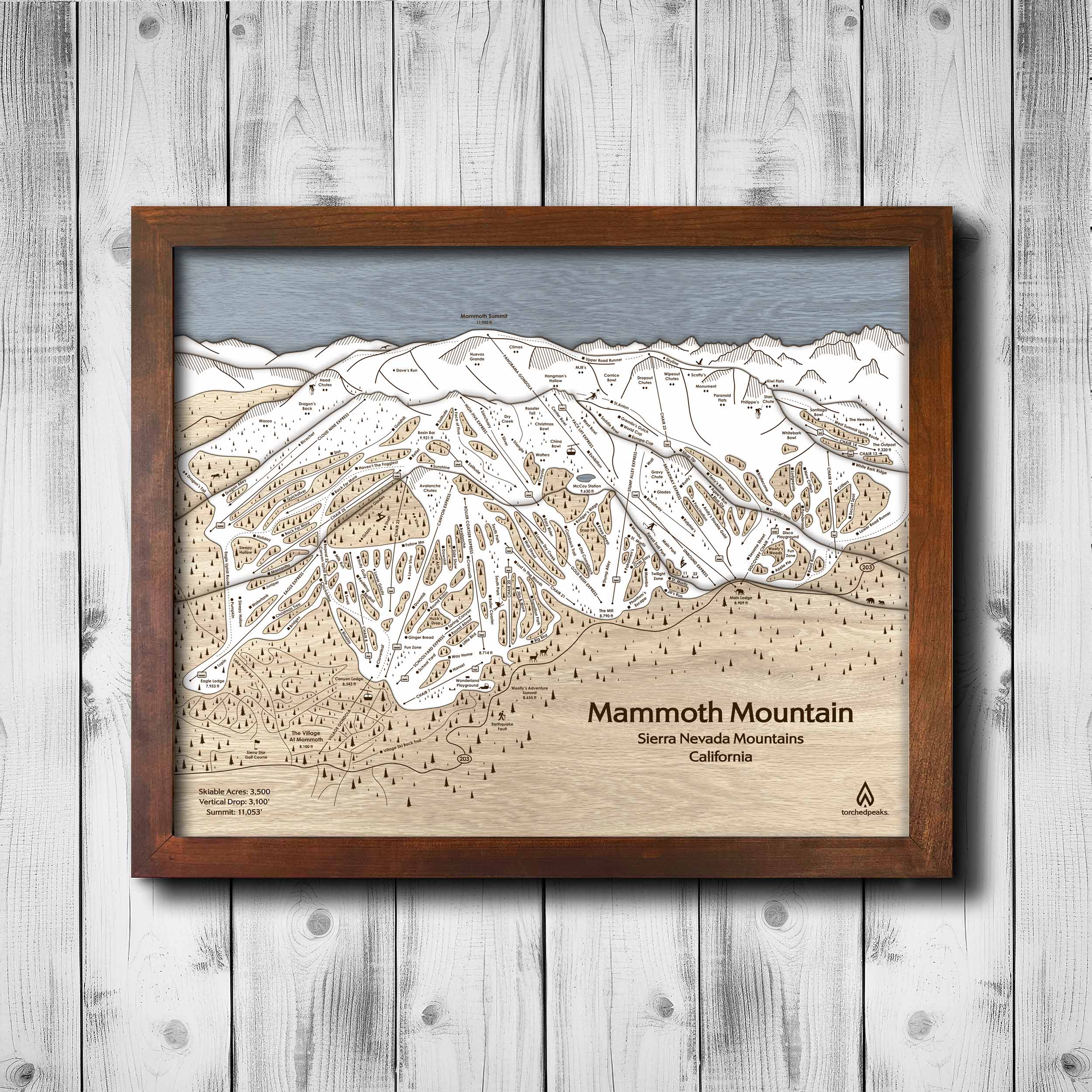 Mammoth Mountain Ski Resort Map,  Slopes Mountain Art, Artist: Shawn Orecchio, Former Professional Snowboarder