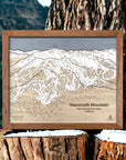 Ski House Decor, Mammoth Mountain Ski Resort Map