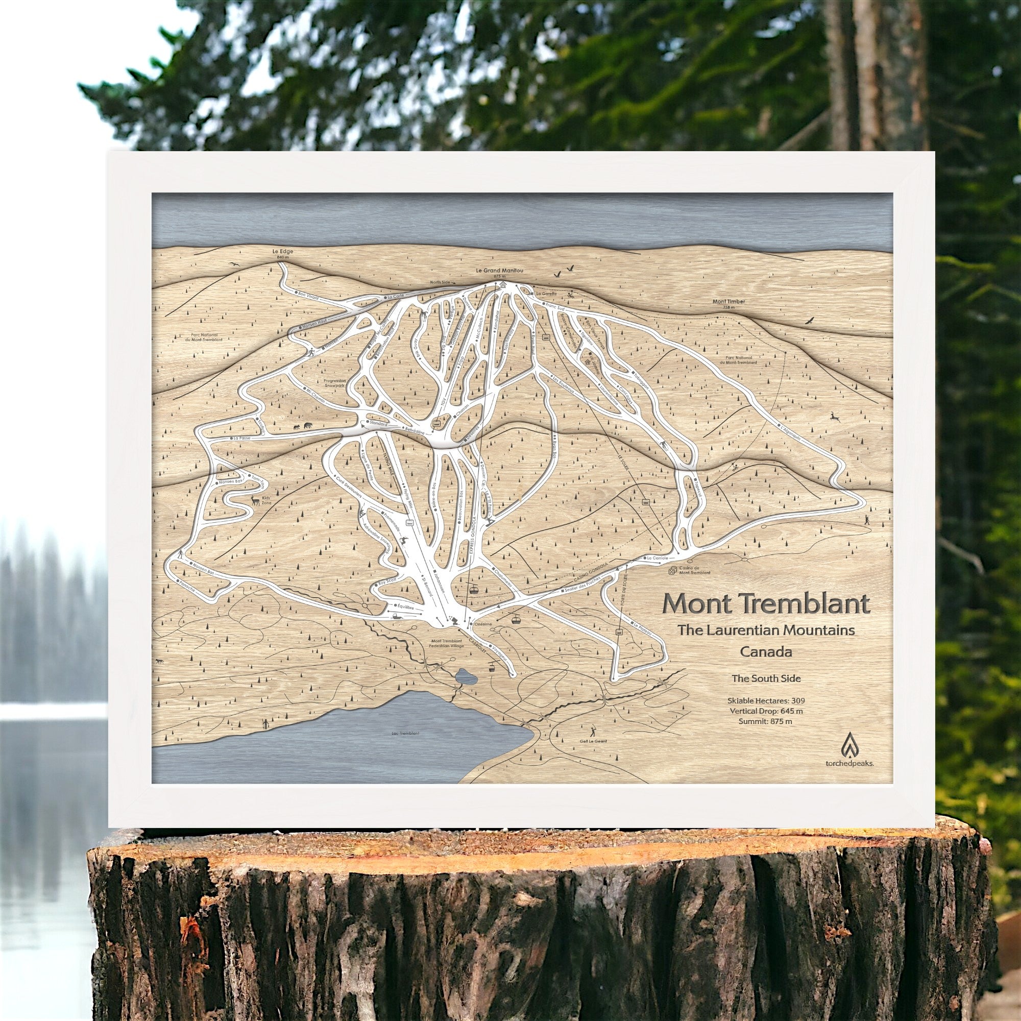 Wooden ski trail map of Mont Tremblant, Quebec, Canada, displayed on a tree stump with a forest background.