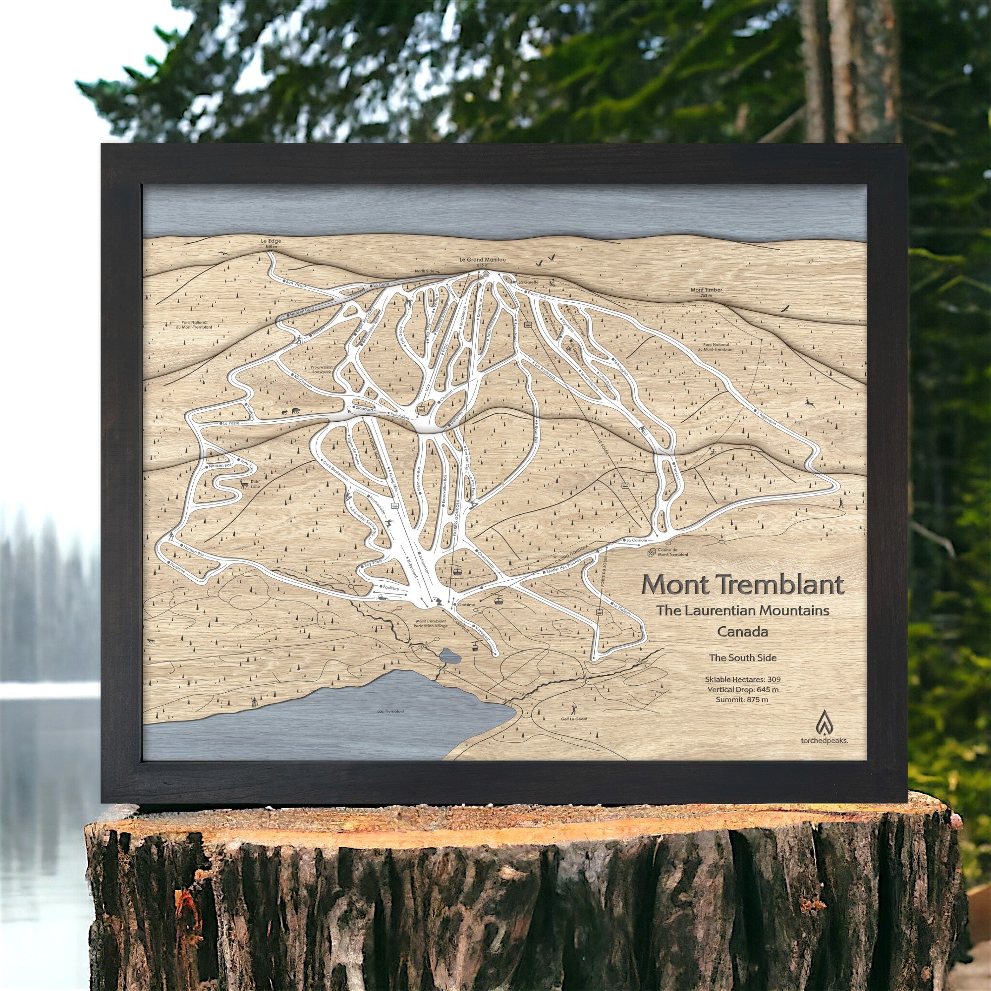 Framed wooden map of Mont Tremblant Ski Resort, Quebec, Canada on a wooden stump with a natural background.