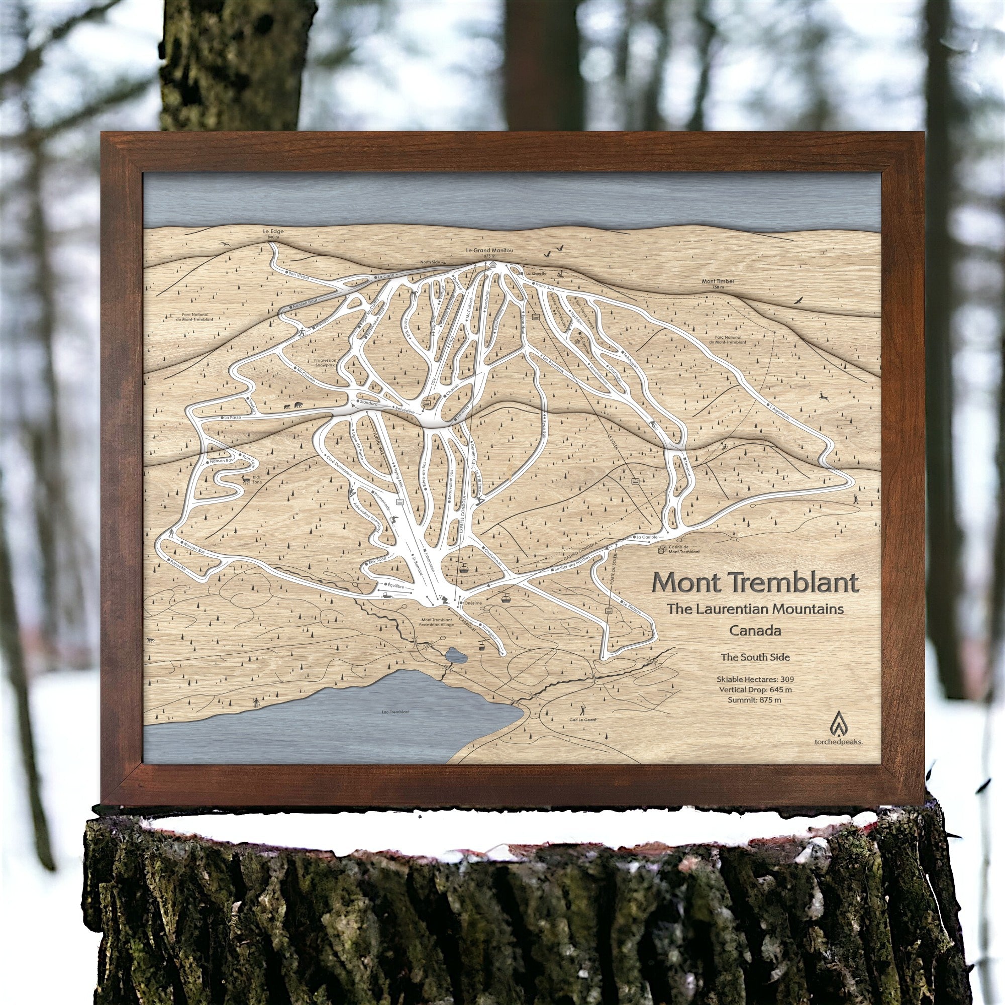 Wooden map of Mont Tremblant ski resort in Canada on a tree stump with a forest background.