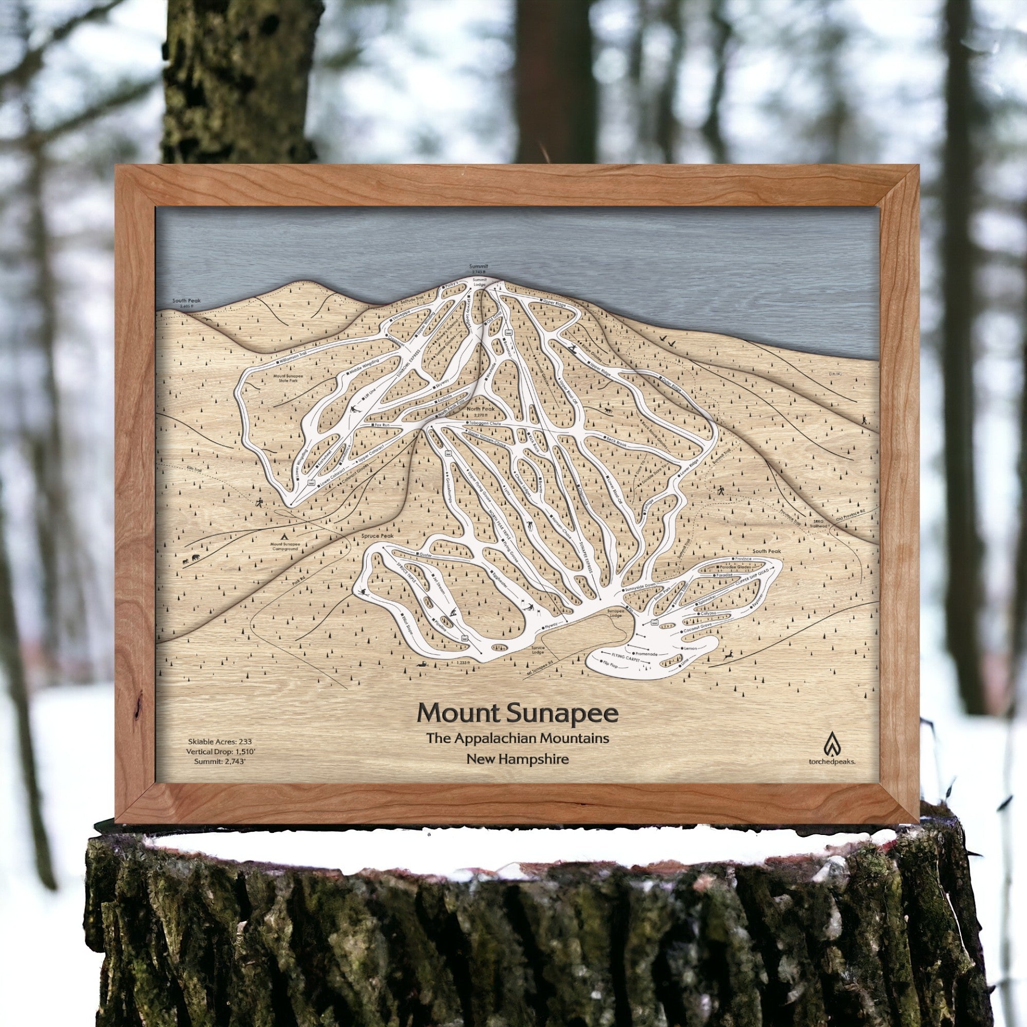 Mount Sunapee Ski Resort Map Art, Wall Map, Laser-engraved