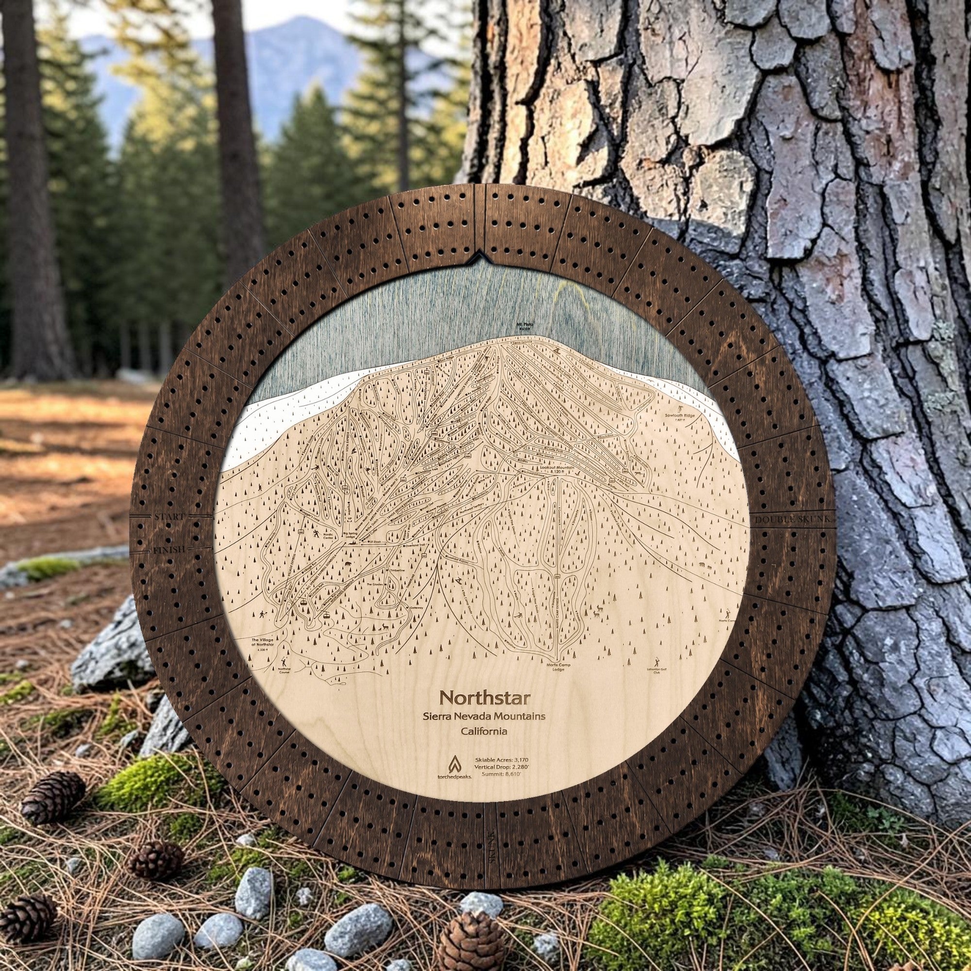 Northstar ski map cribbage board in Rustic Mocha displayed outdoors against a pine tree.