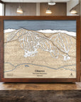 Okemo Vermont Wood Map, Ski Slopes Wall Art