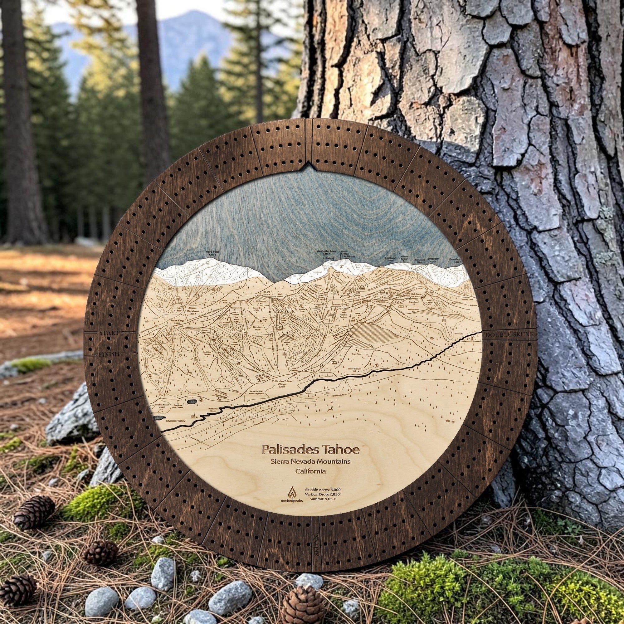 Round wooden cribbage board featuring an engraved, laser-cut ski map of Palisades Tahoe, displayed outdoors leaning against a large tree trunk in a forest setting.