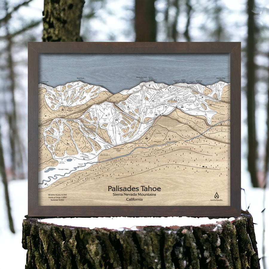 Palisades Tahoe Ski Resort Map Art