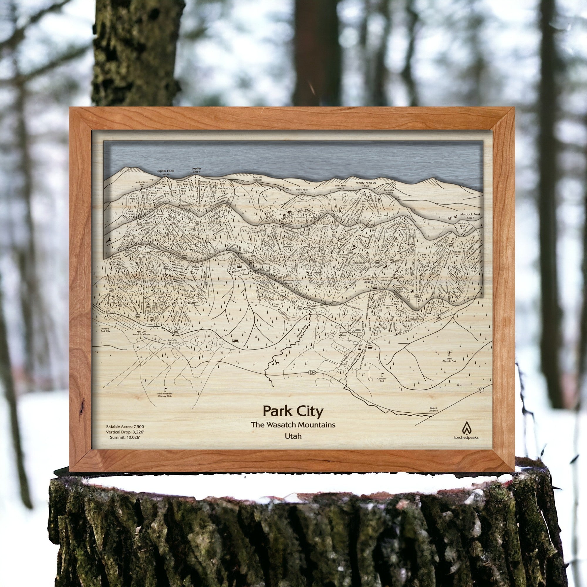 Park City Mountain Resort Ski Slope Map, 3D Wooden Mountain Art, Slopes Mountain Art