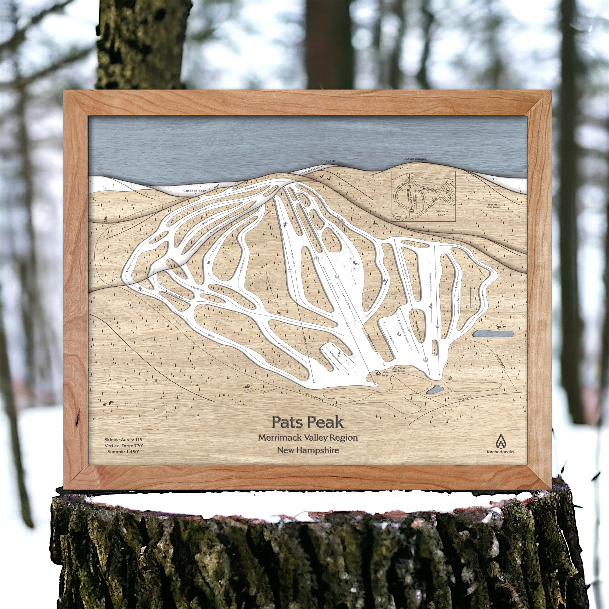 Wooden ski map of Pats Peak in a natural setting with trees.